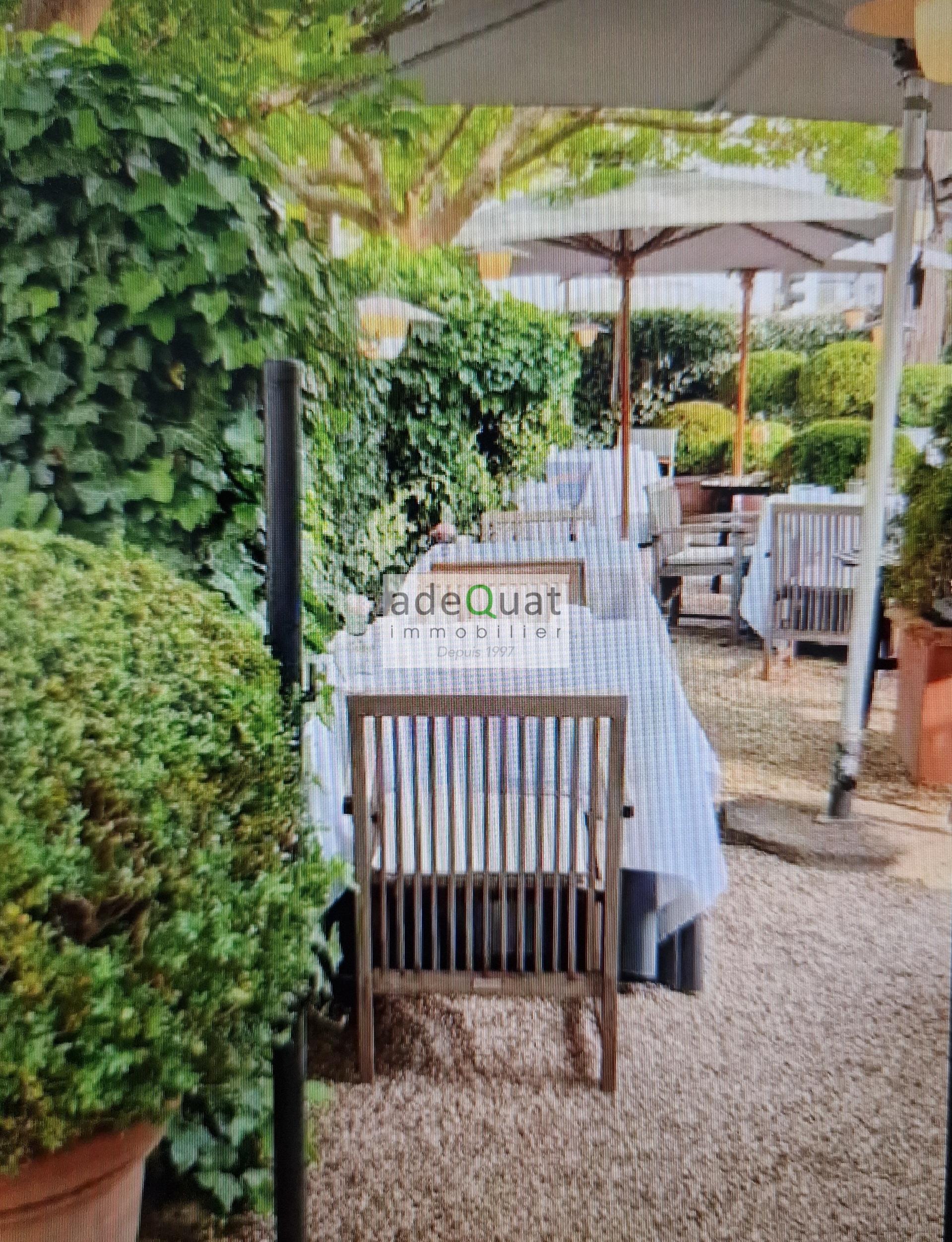 Image 15
